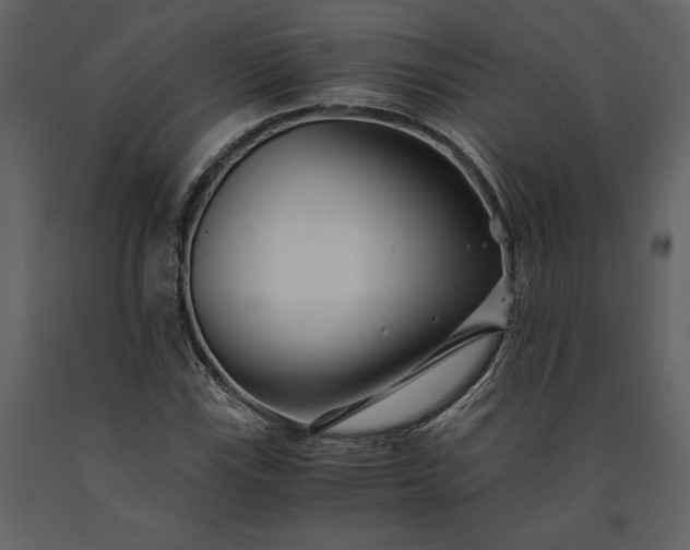 X0000091221115200708231624