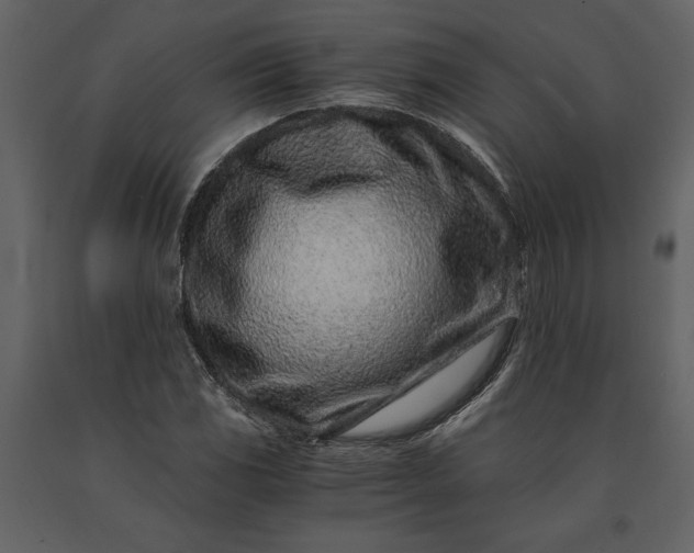 X0000091221117200708231624