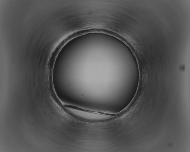 X0000091221118200708231624