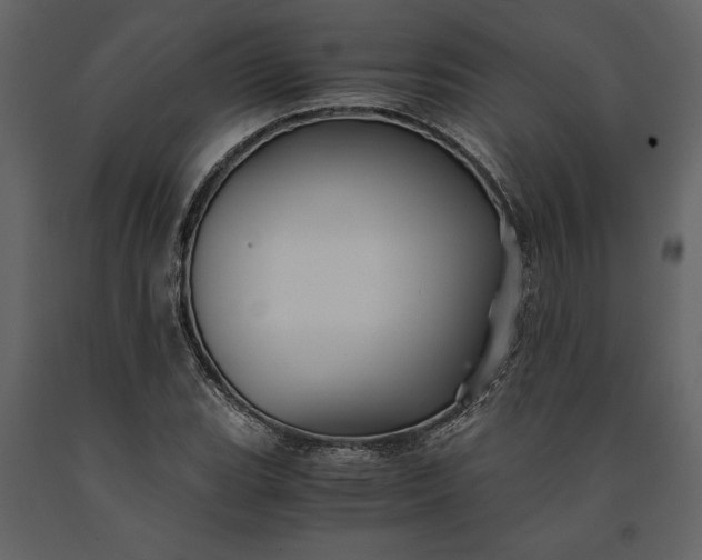 X0000091221119200708231624