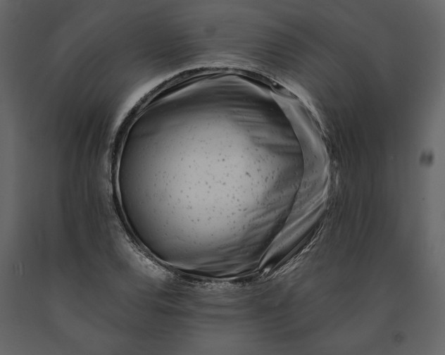 X0000091221120200708231624