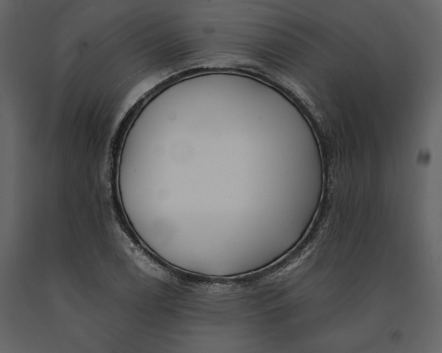 X0000091221122200708231624