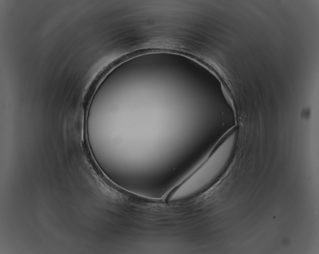 X0000091221123200708231624