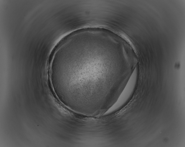 X0000091221124200708231624