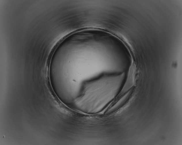 X0000091221125200708231624