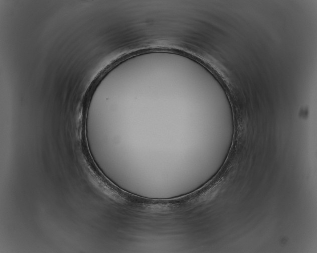 X0000091221126200708231624