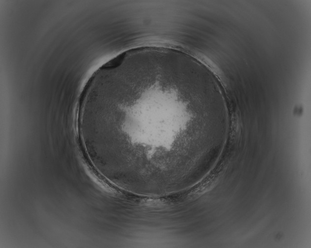 X0000091221128200708231624