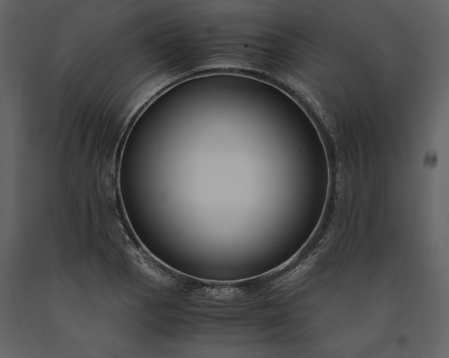 X0000091221129200708231624