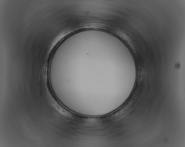 X0000091221130200708231624