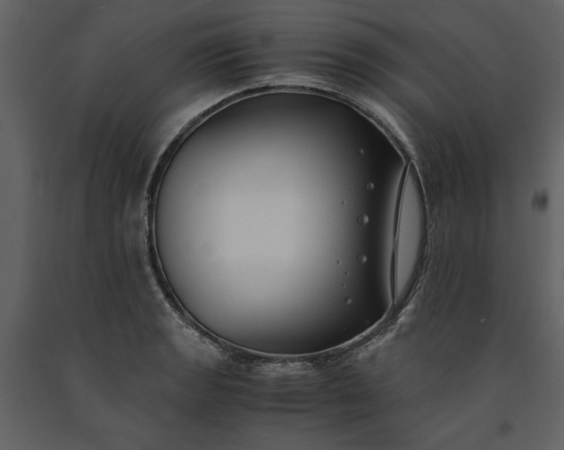 X0000091221133200708231624