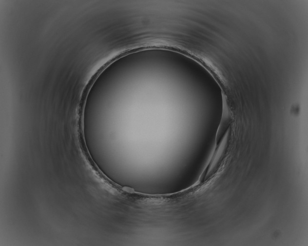 X0000091221134200708231624