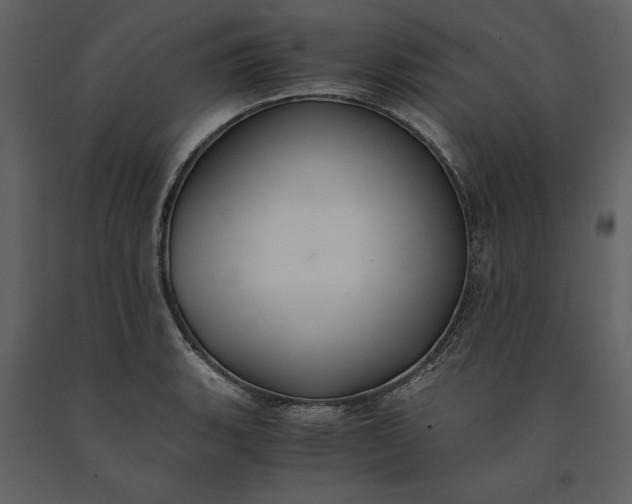 X0000091221135200708231624