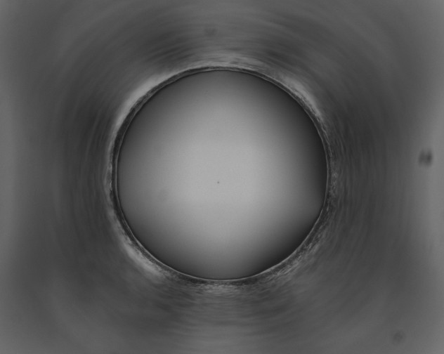 X0000091221136200708231624