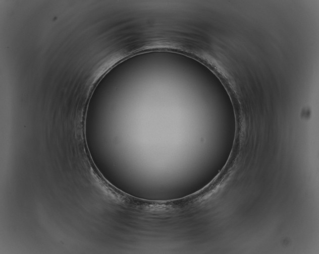 X0000091221137200708231624