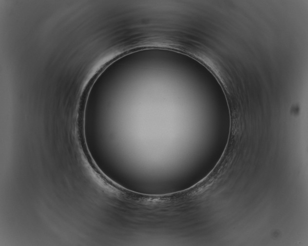 X0000091221139200708231624