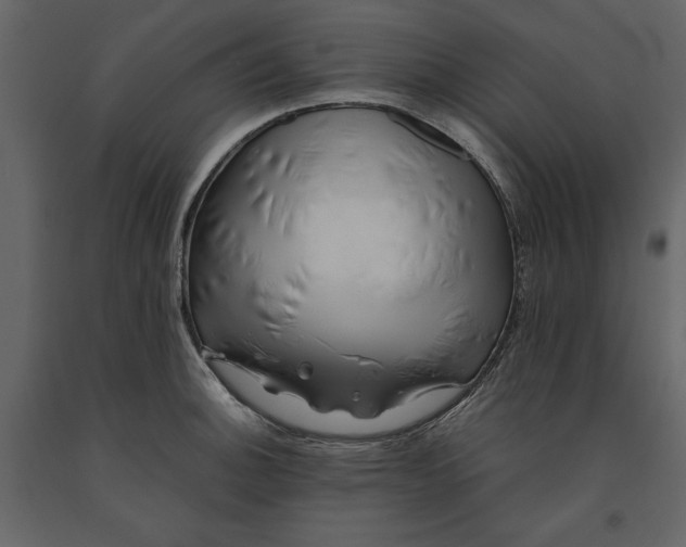 X0000091221140200708231624