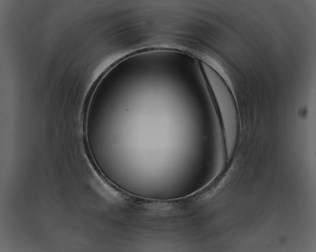 X0000091221141200708231624