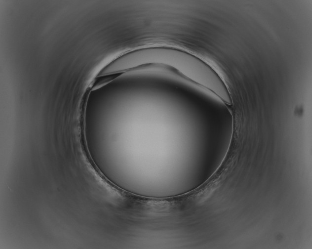 X0000091221142200708231624