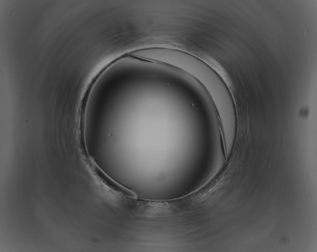 X0000091221144200708231624