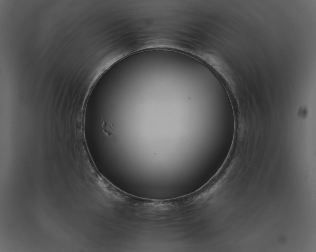 X0000091221145200708231625