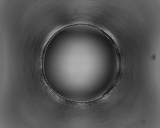 X0000091221148200708231625