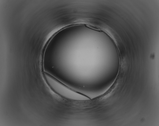 X0000091221149200708231625