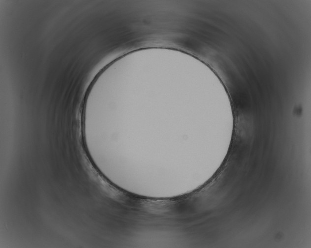 X0000091221150200708231625