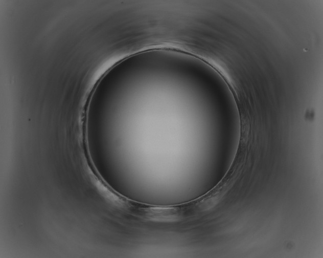 X0000091221151200708231625