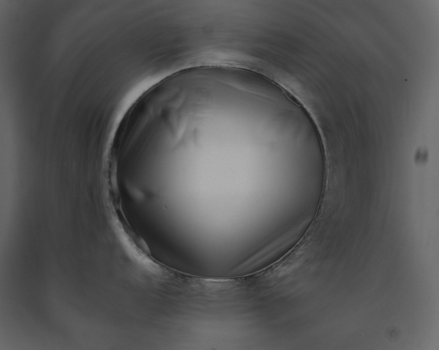 X0000091221152200708231625