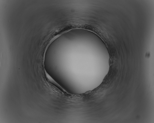 X0000091221153200708231624