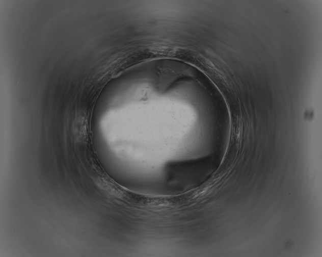 X0000091221154200708231624