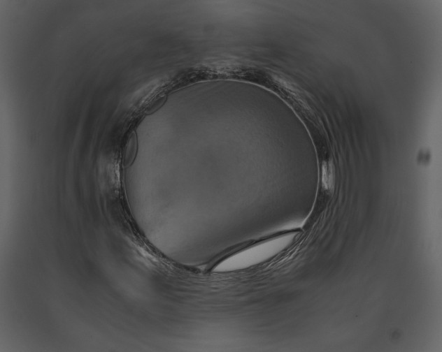 X0000091221155200708231624