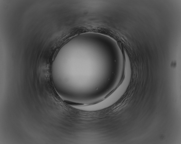 X0000091221156200708231624