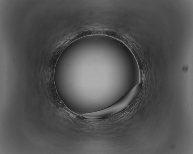 X0000091221157200708231624