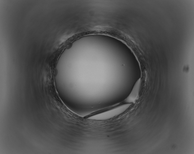 X0000091221158200708231624