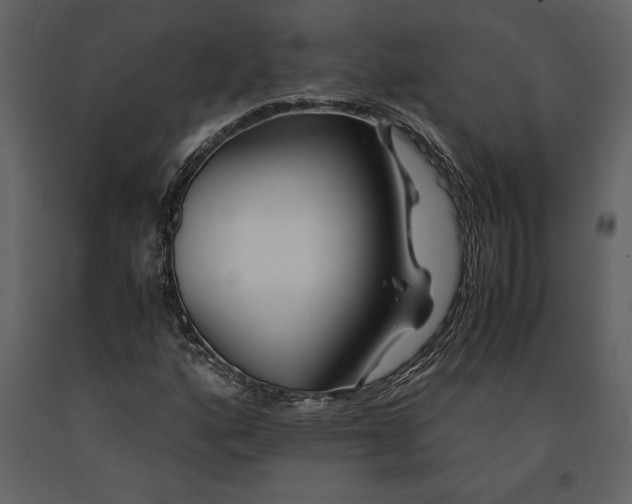 X0000091221160200708231624