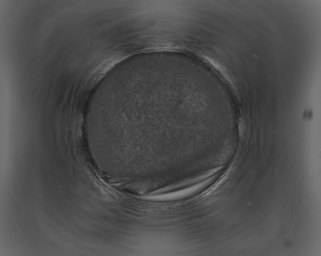 X0000091221161200708231624