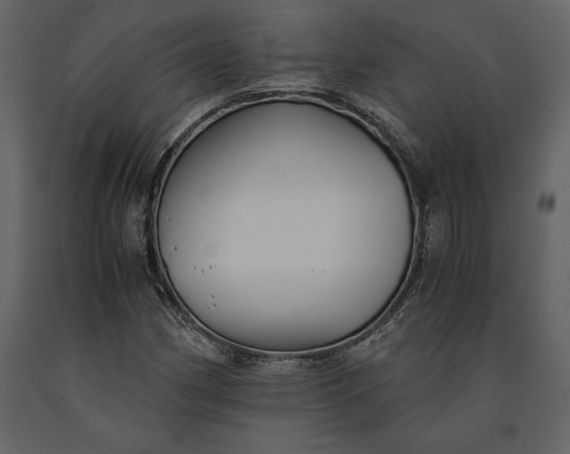 X0000091221162200708231624