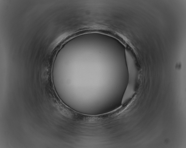 X0000091221163200708231624