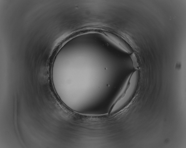 X0000091221164200708231624