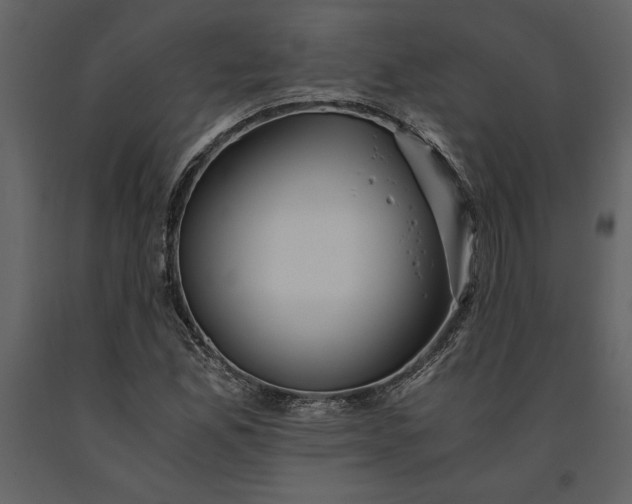 X0000091221165200708231624