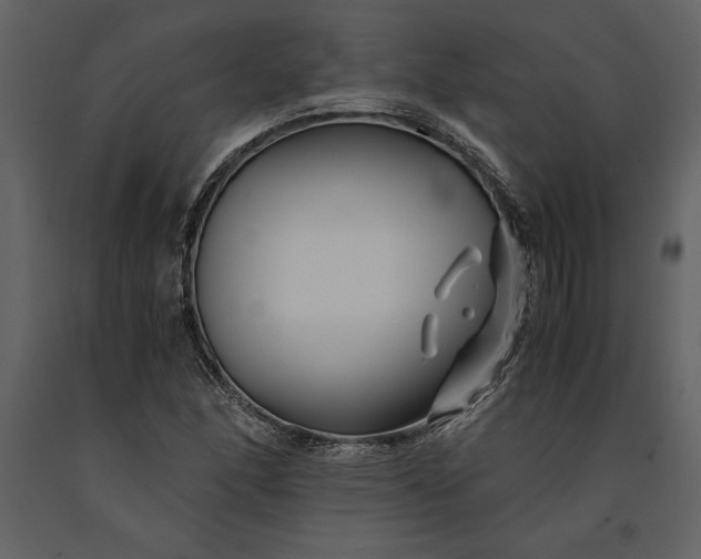 X0000091221166200708231624