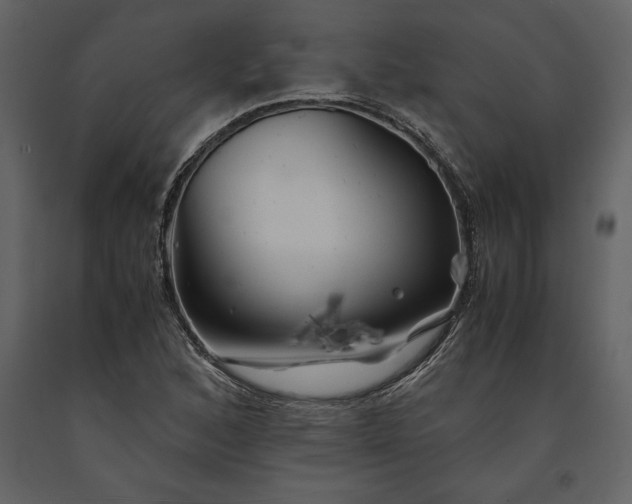 X0000091221168200708231624