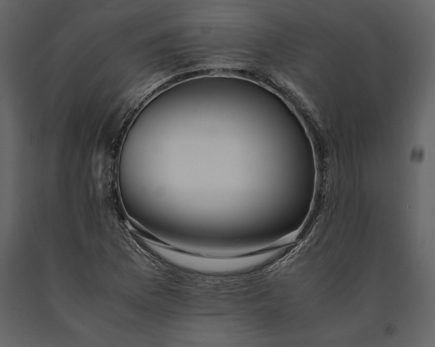 X0000091221169200708231624