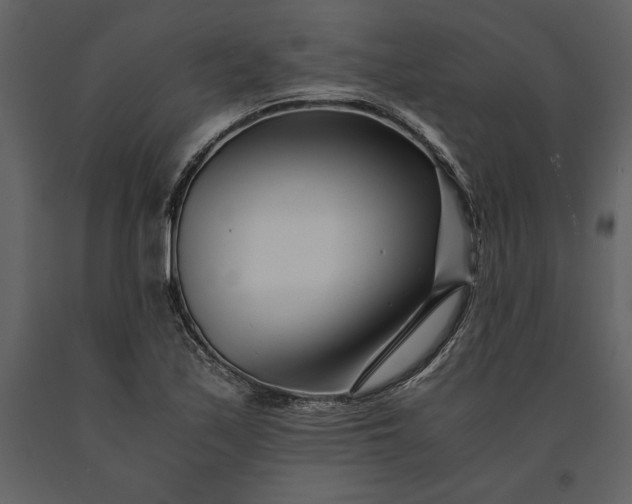 X0000091221171200708231624