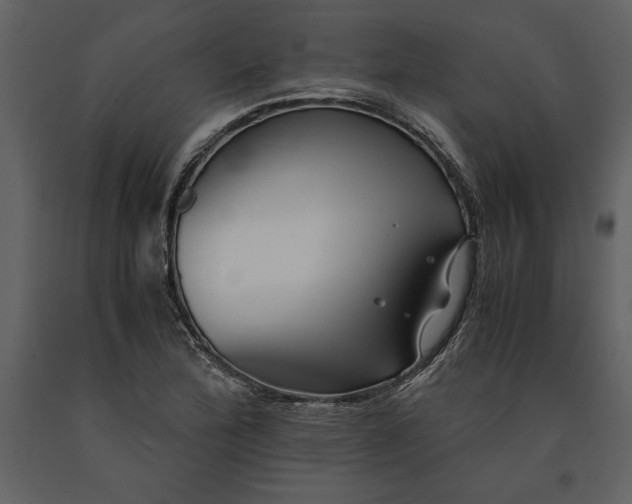 X0000091221172200708231624