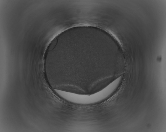 X0000091221173200708231624