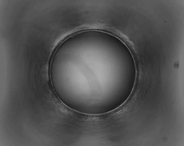 X0000091221174200708231624