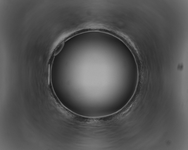 X0000091221175200708231624