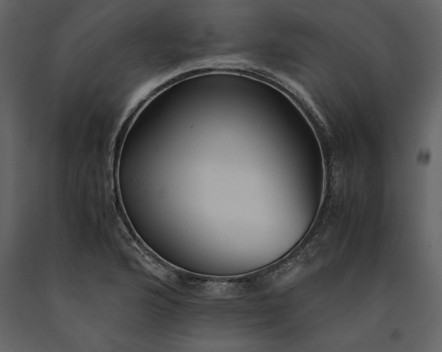 X0000091221176200708231624